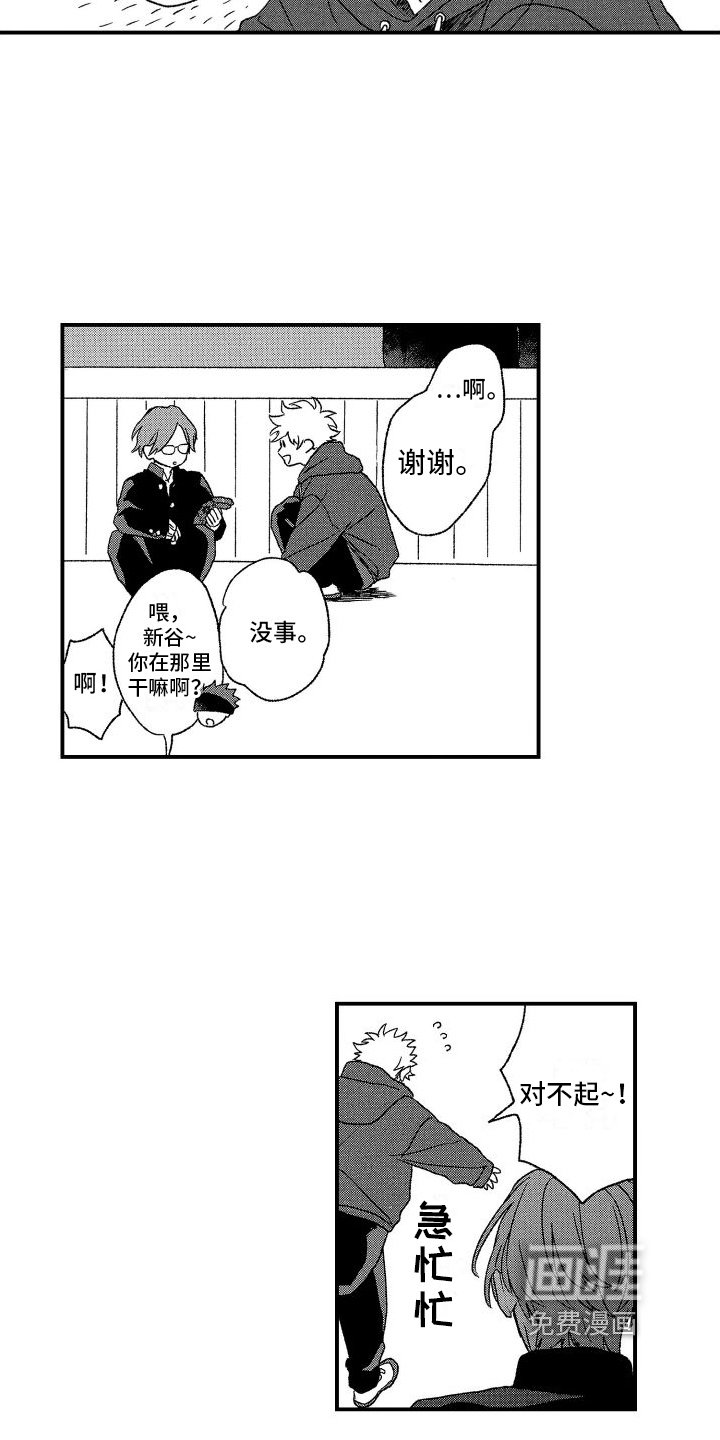第17章：计划