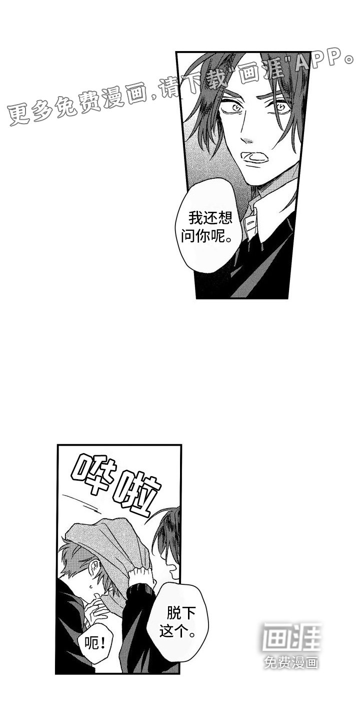 第19章：矛盾