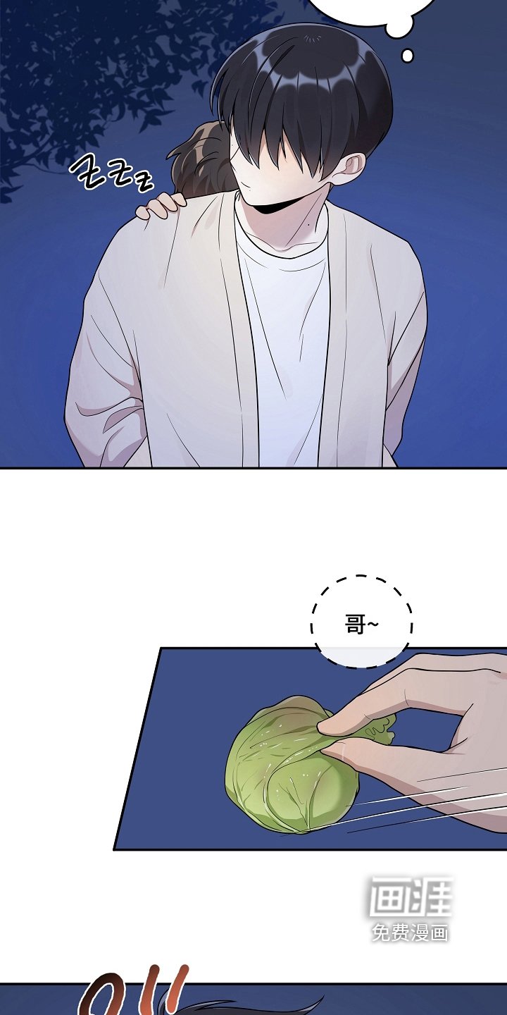 第13章：回避