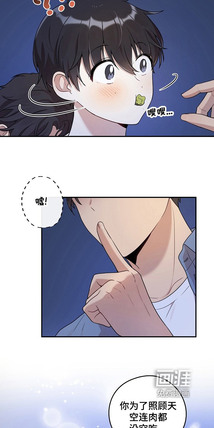 第13章：回避