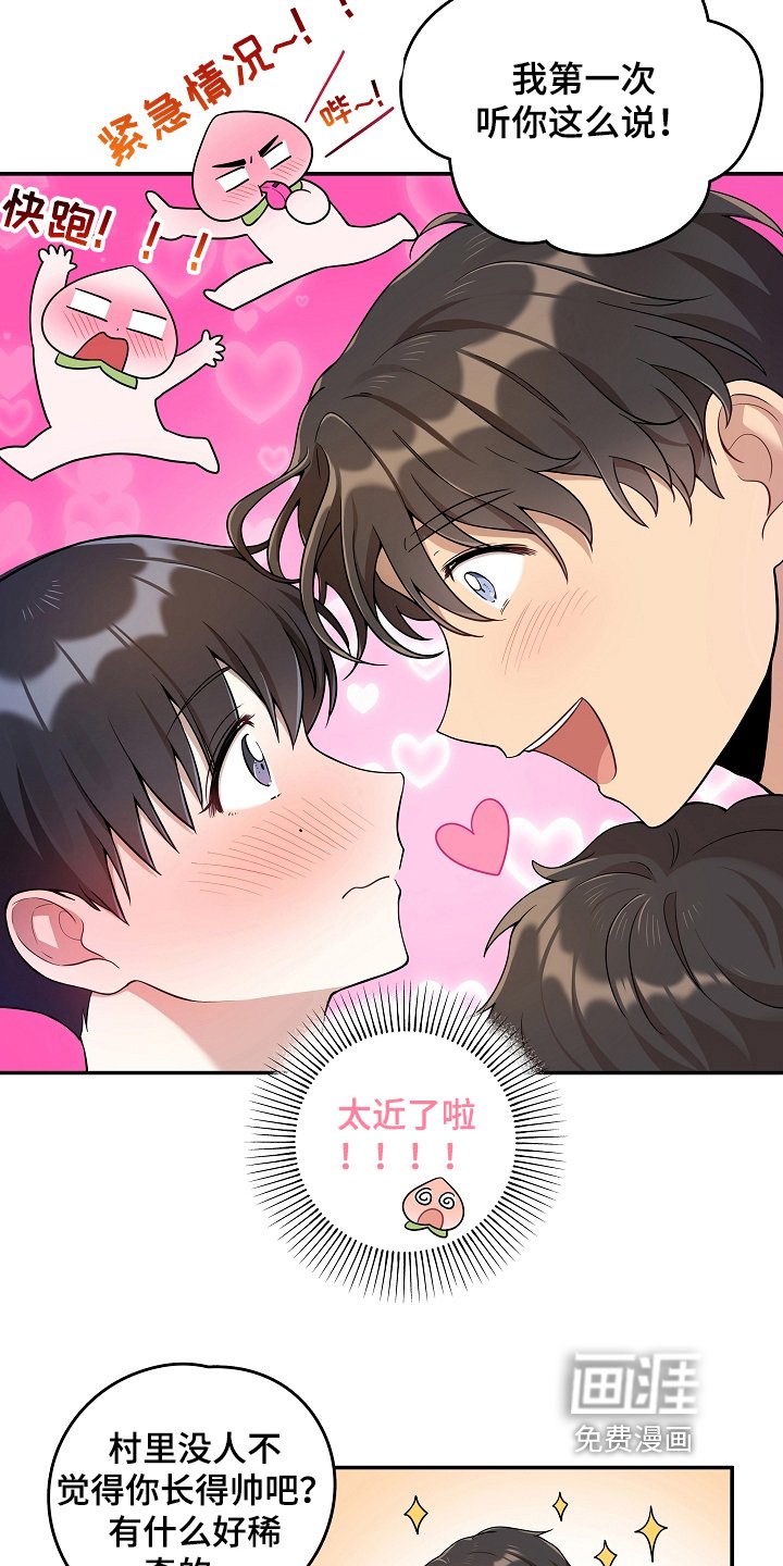 第13章：回避