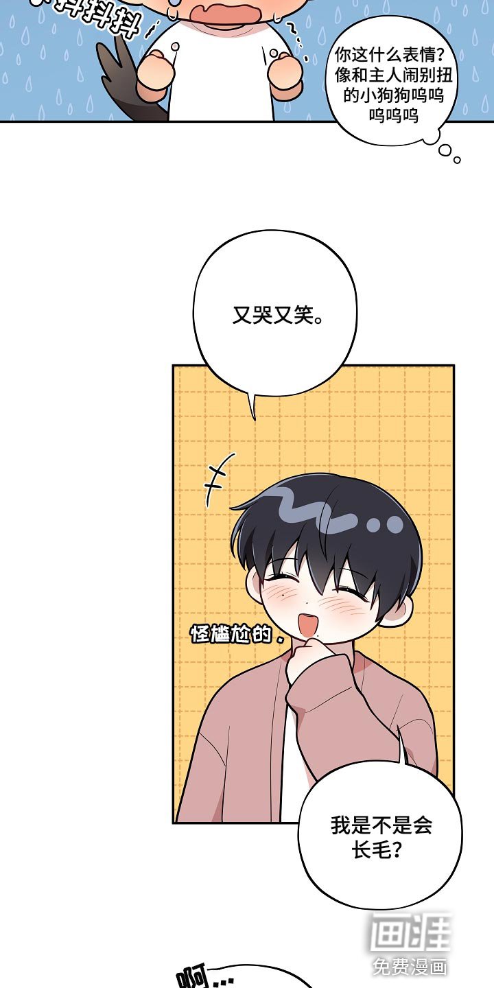 第34章：表白