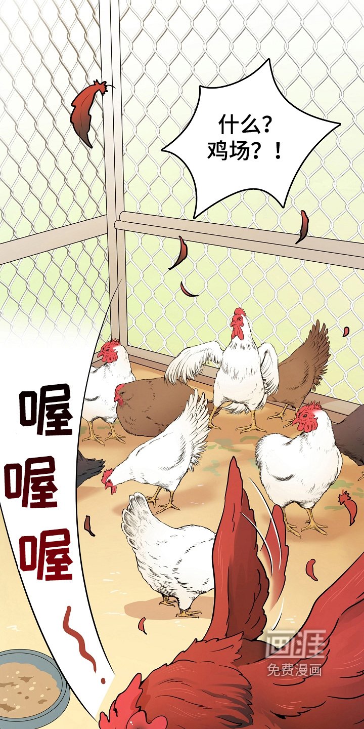 第7章：掏鸡蛋