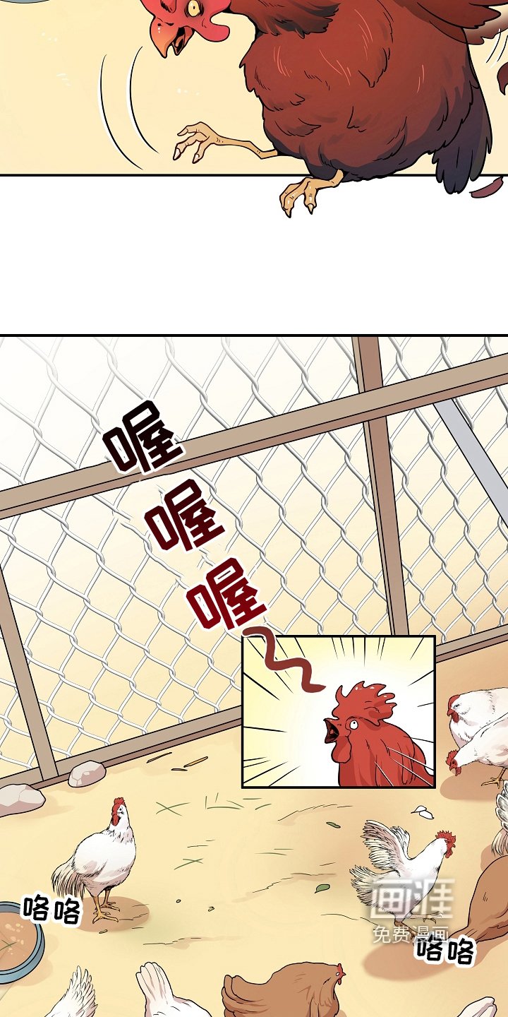 第7章：掏鸡蛋