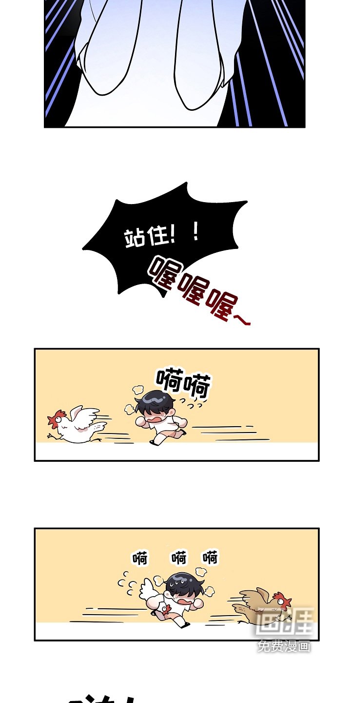 第7章：掏鸡蛋