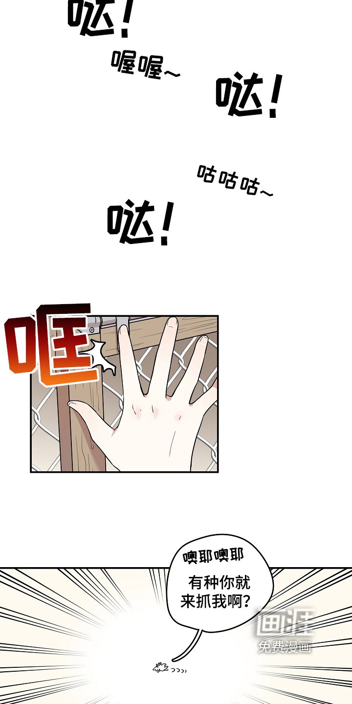 第7章：掏鸡蛋