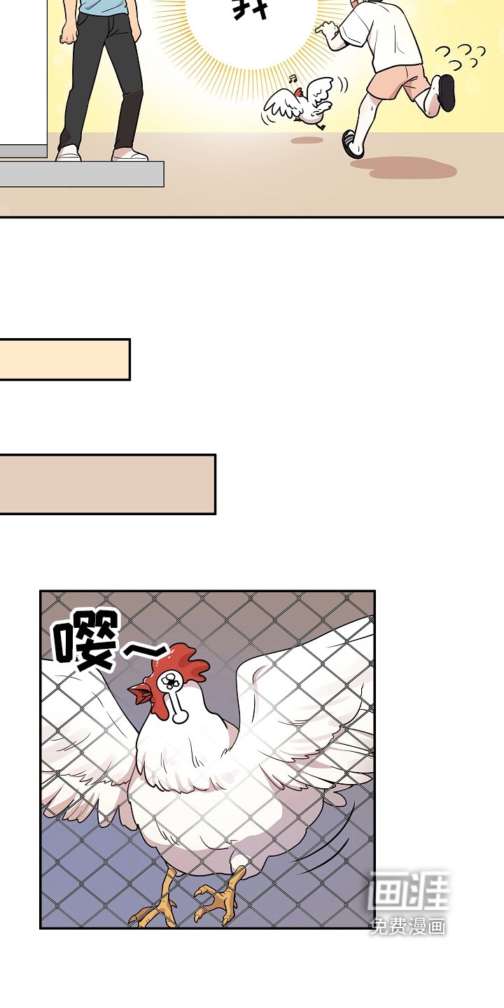 第8章：帮忙
