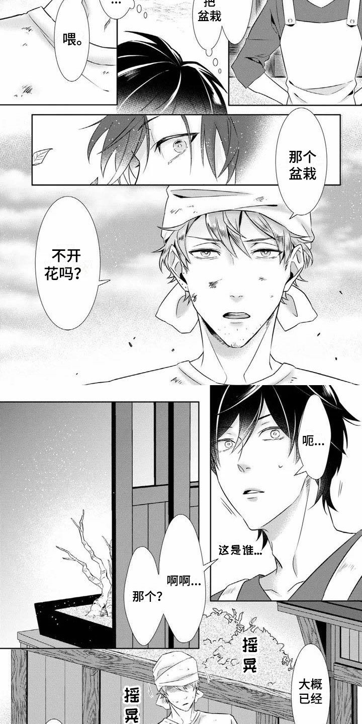 第1章：花店