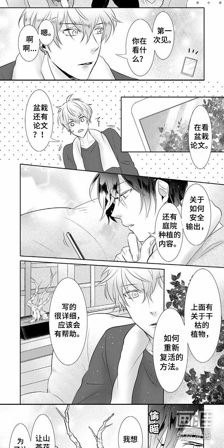 第11章：尝试