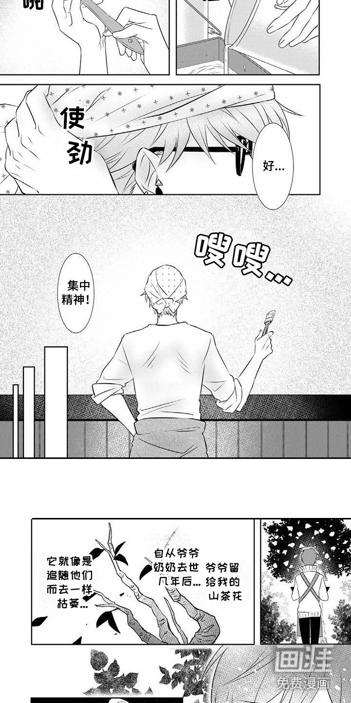 第13章：通话