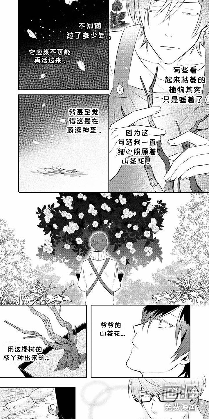 第13章：通话