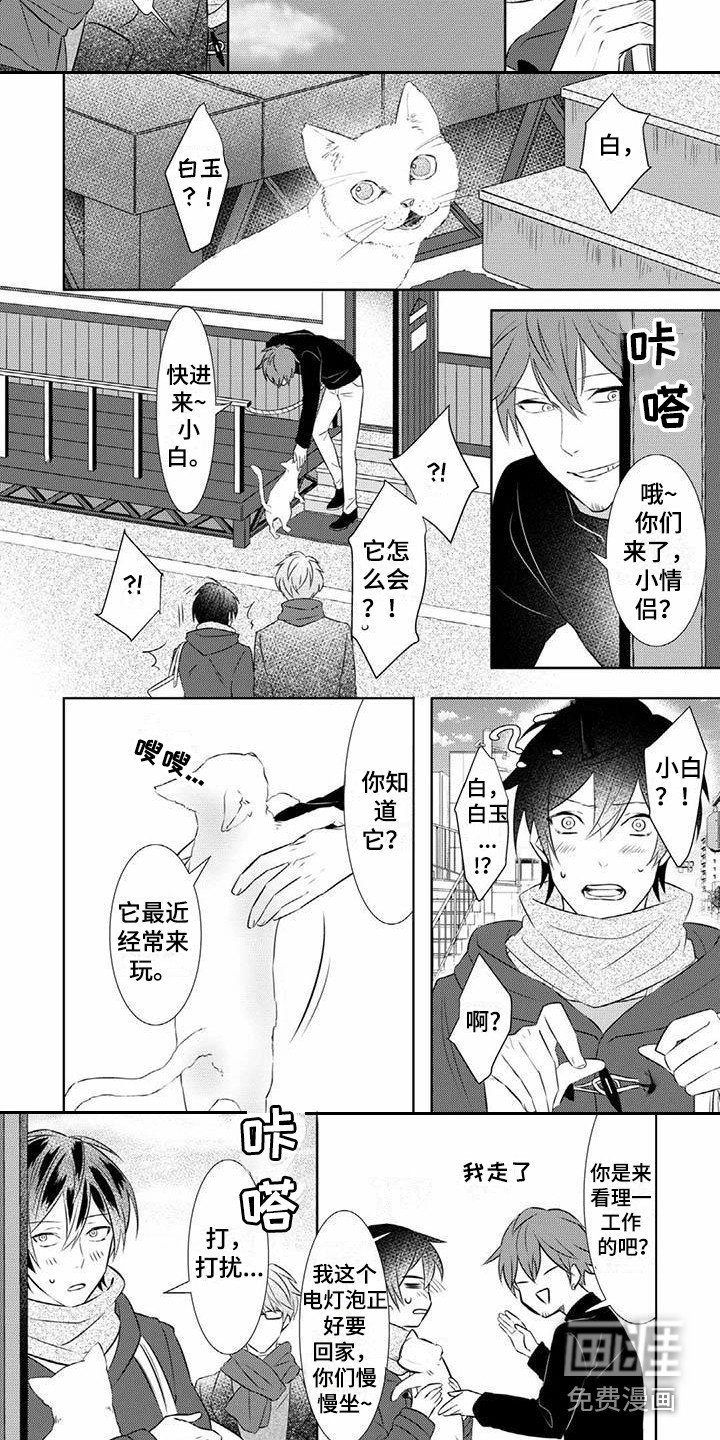 第14章：永远盛开（完结）