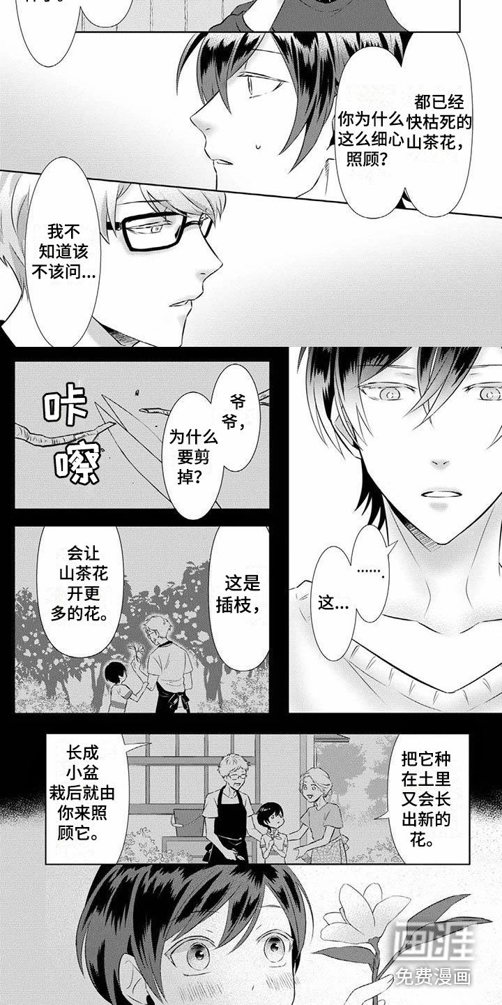 第4章：奇妙的人