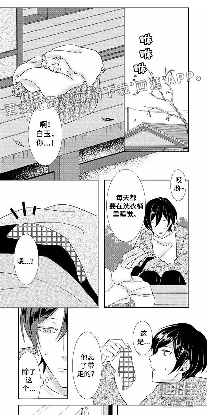 第7章：梦到他