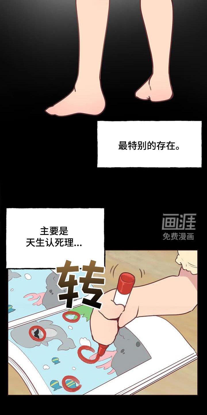 第16章：特别的存在