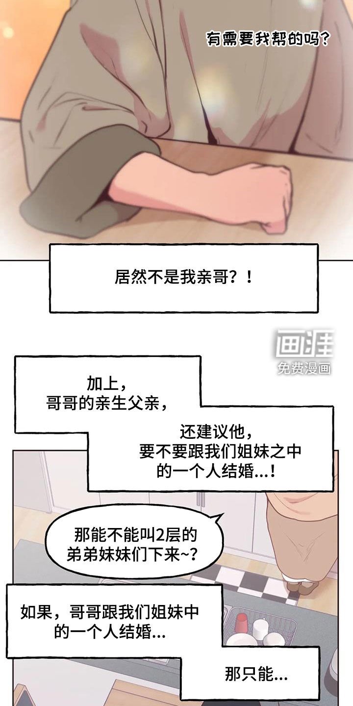 第18章：小猫上灶台
