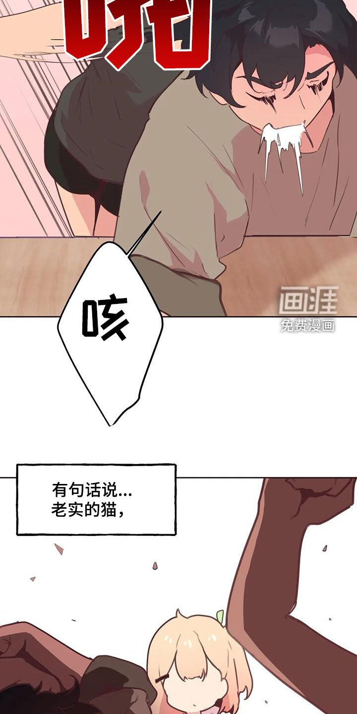第18章：小猫上灶台