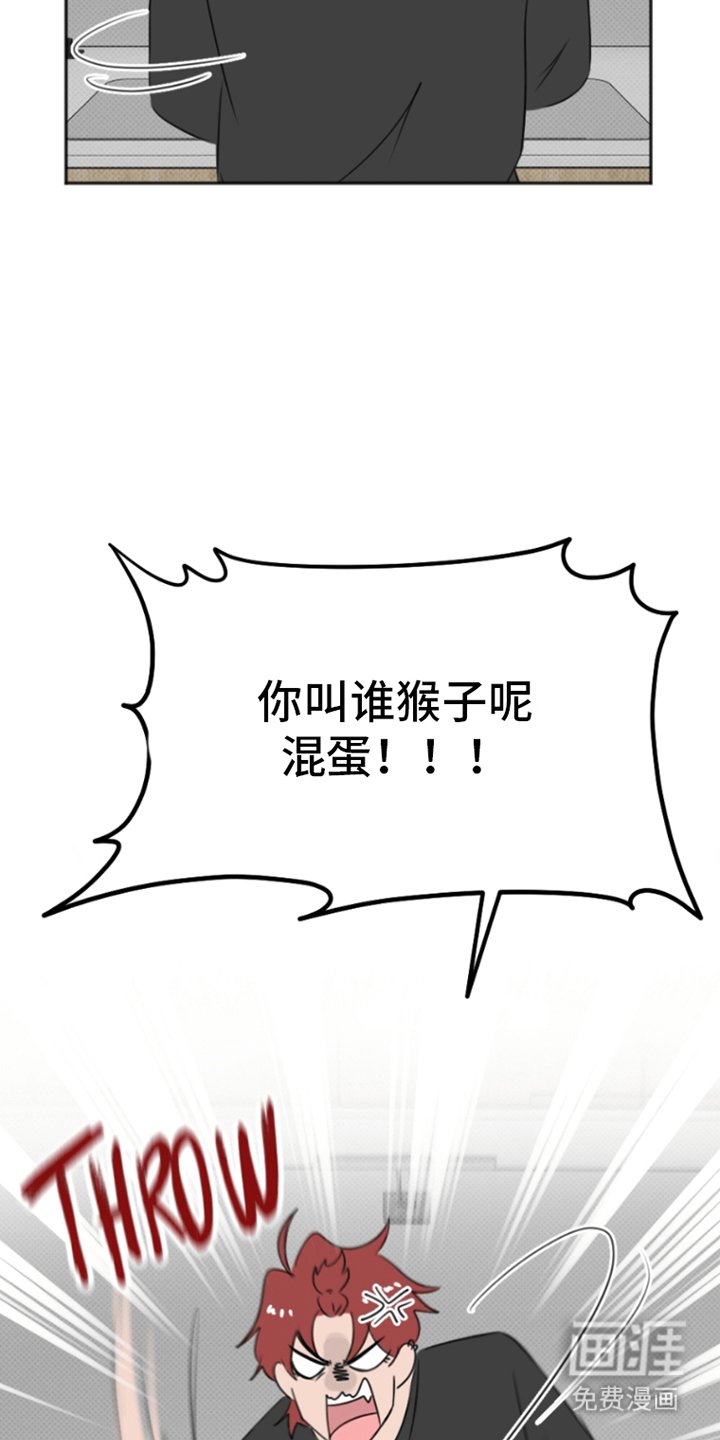 第2章：猴子