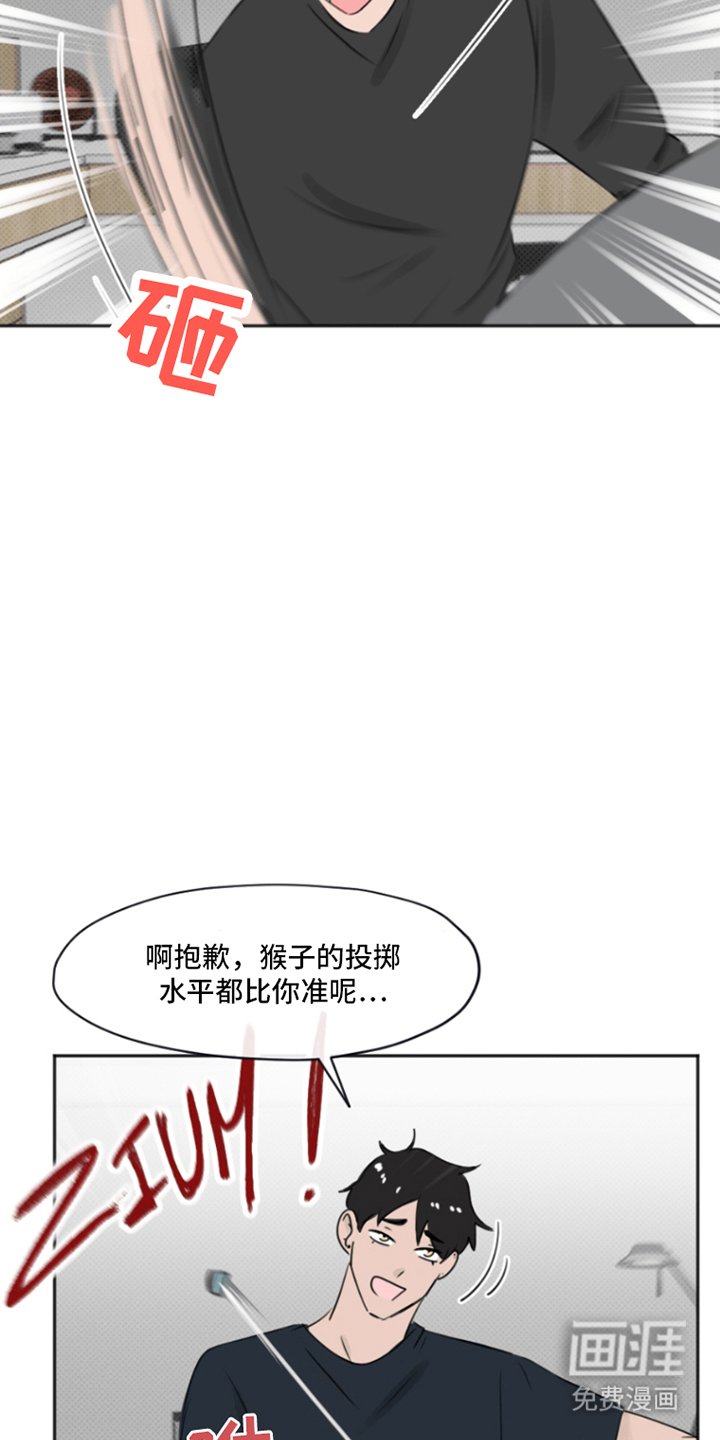 第2章：猴子