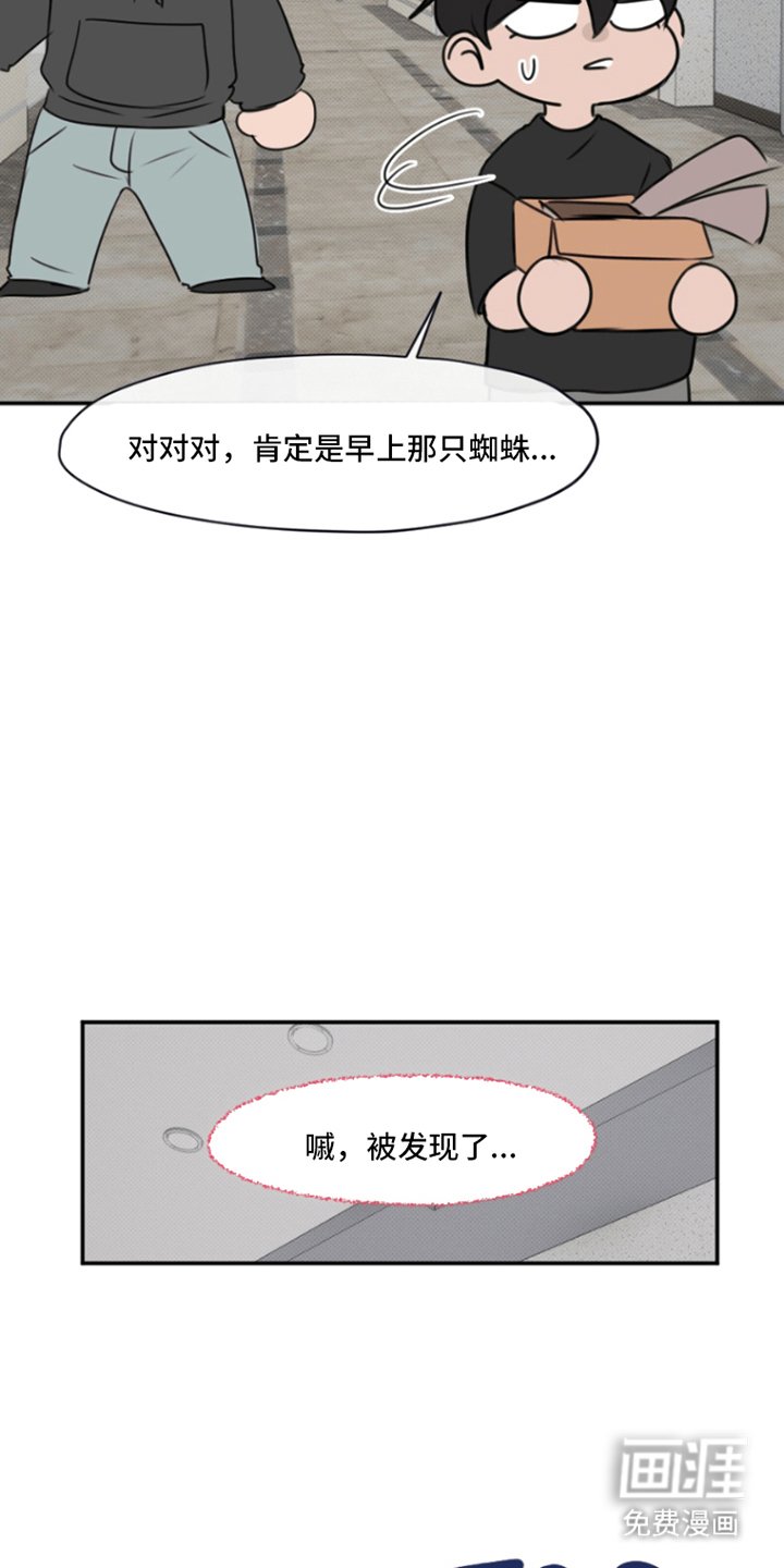 第8章：爱之女神