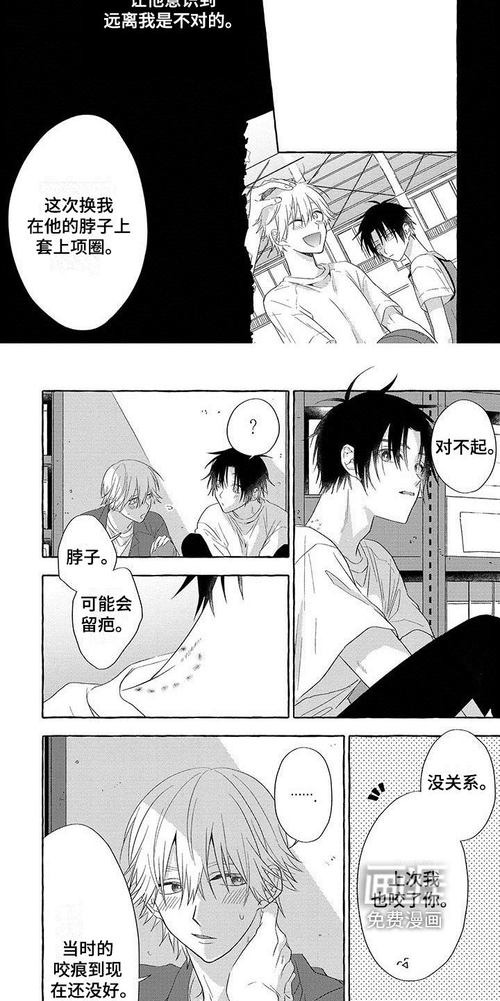 第14章：项圈【完结】