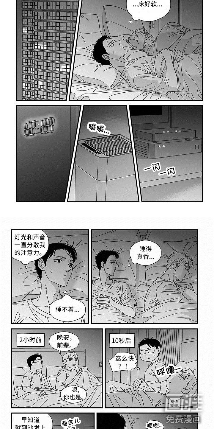第13章：宽阔的臂膀