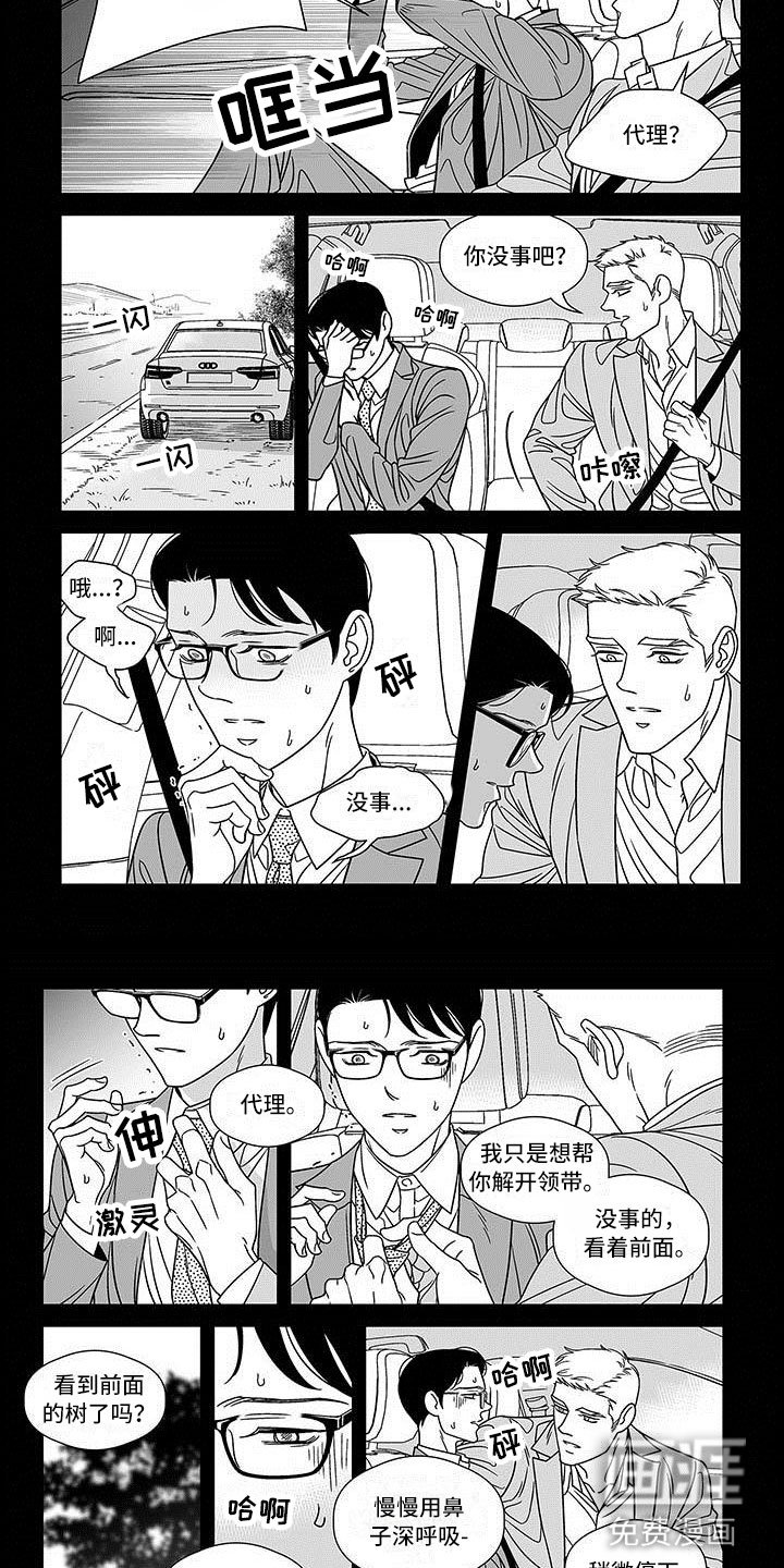 第15章：理想型