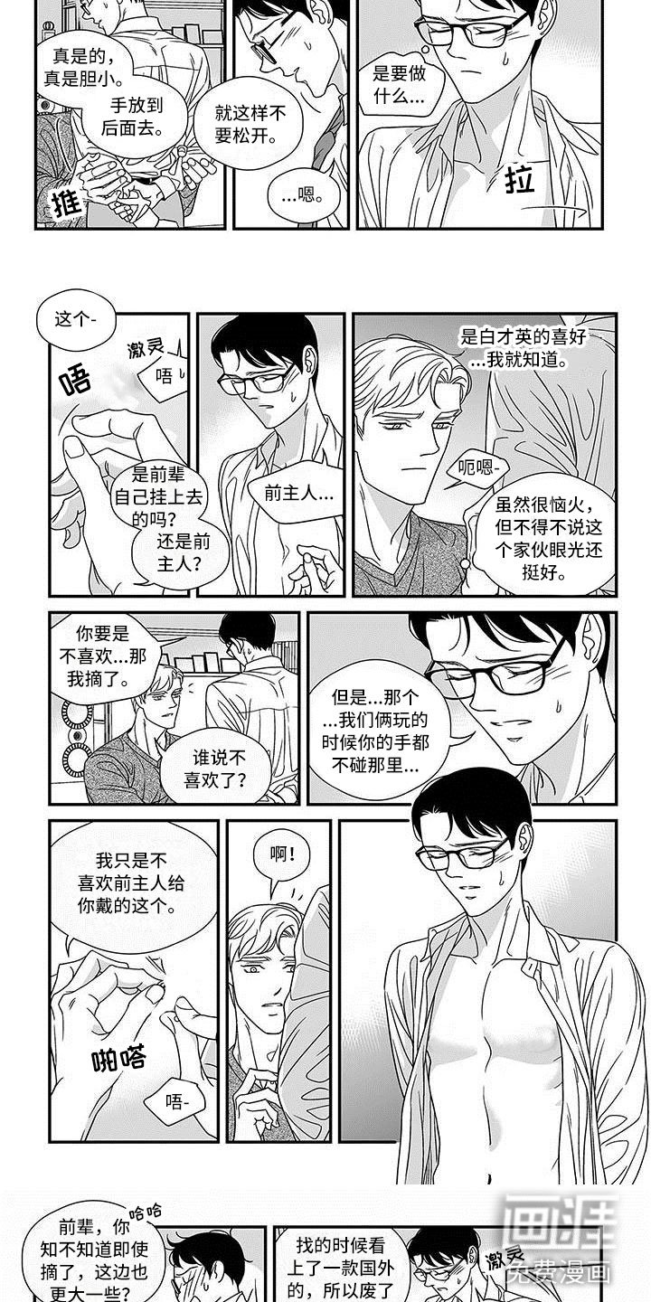 第16章：新的环