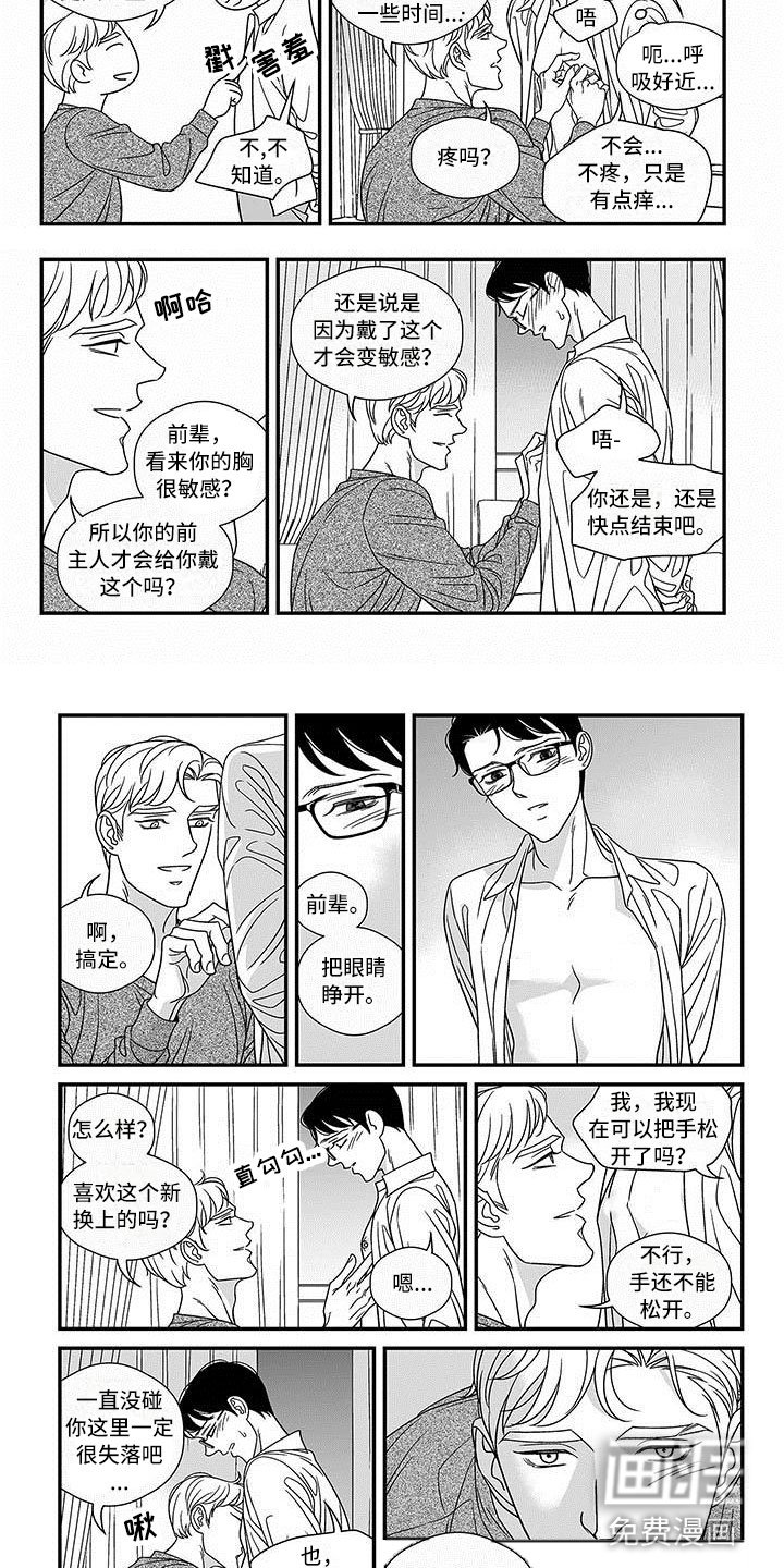 第16章：新的环