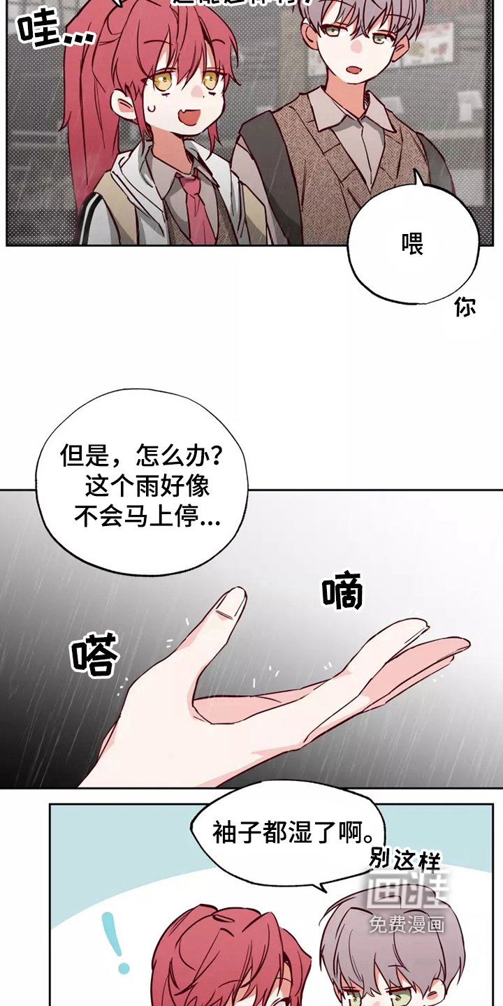 第14章：问题