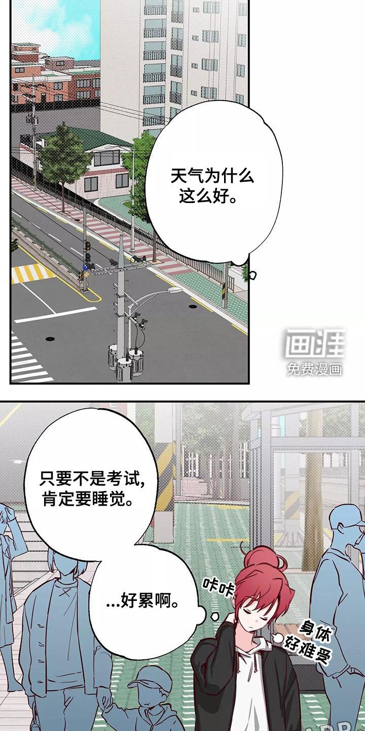 第30章：打球