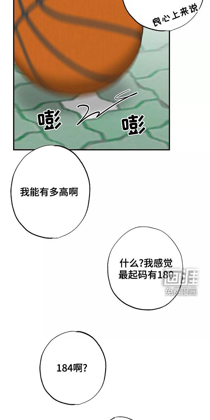 第30章：打球