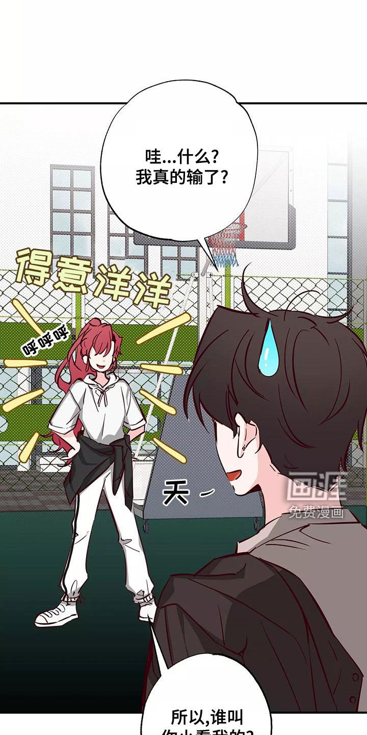 第30章：打球
