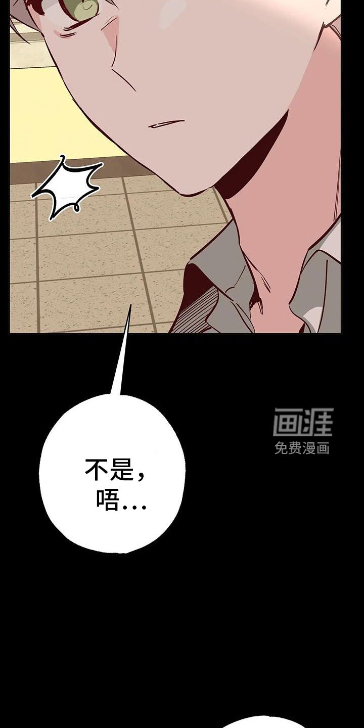 第42章：又要赢了