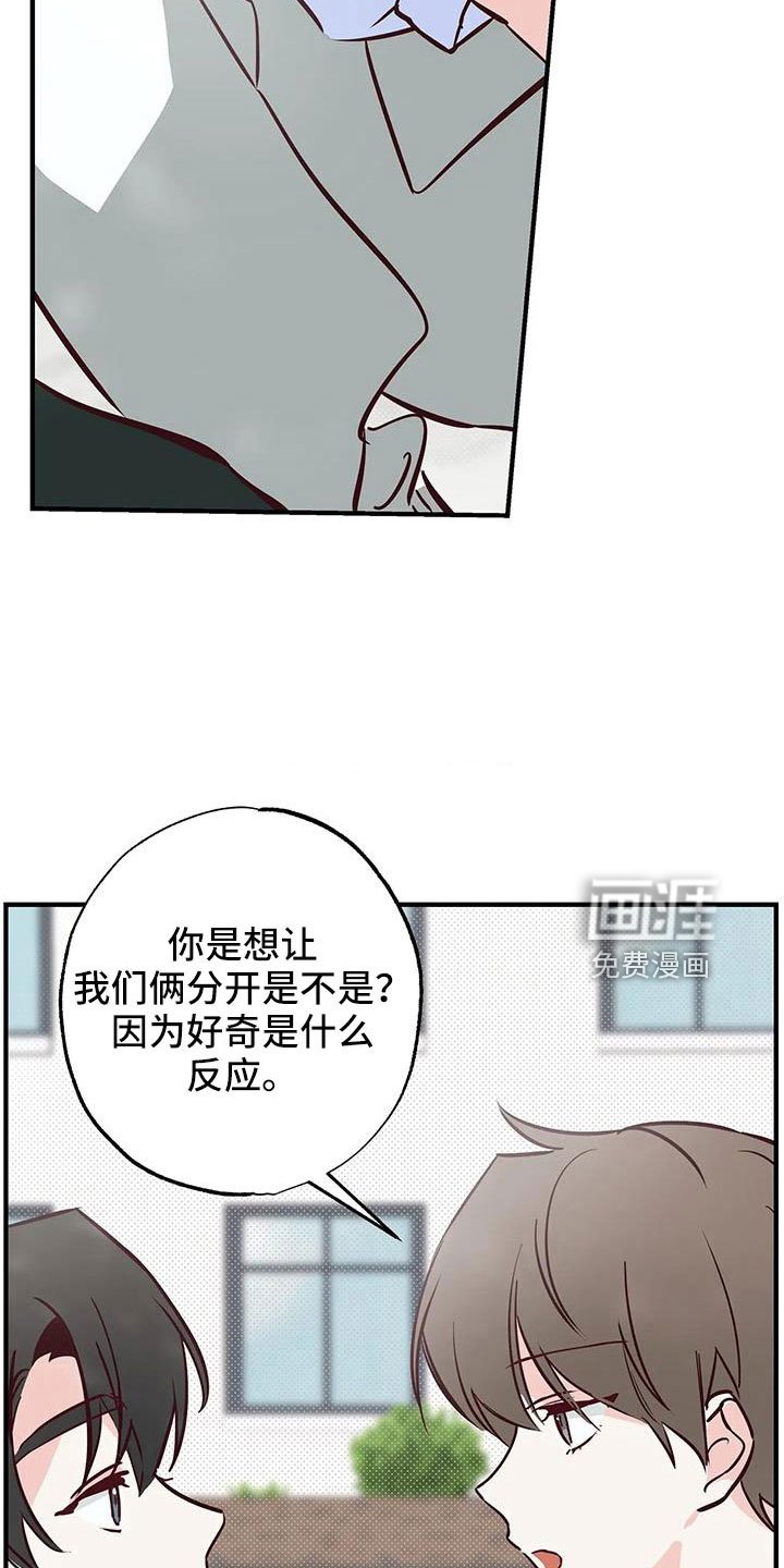 第46章：正在恋爱