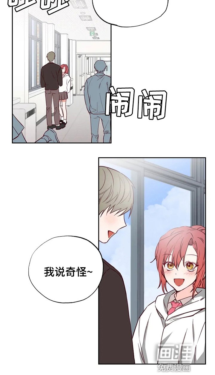 第5章：奇怪