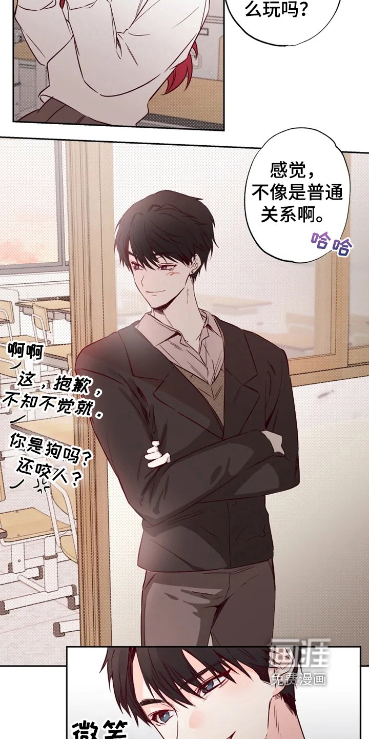 第7章：怀疑