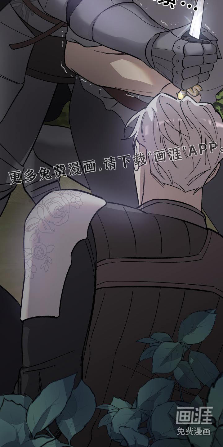 第33章：及时出手