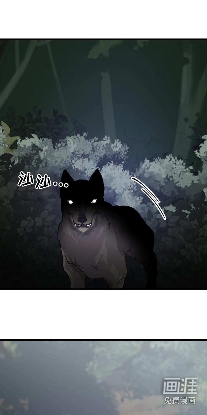第35章：寻找