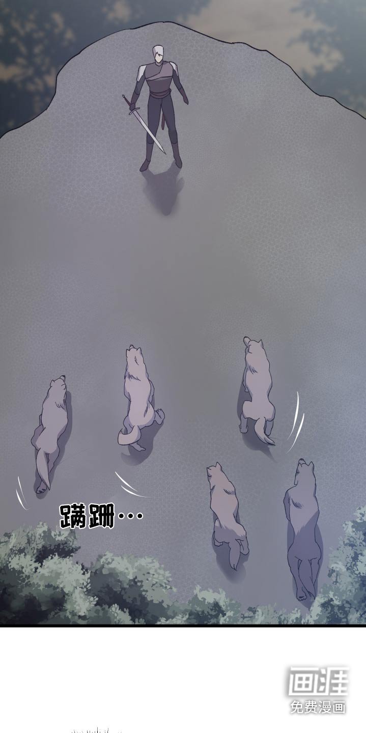 第35章：寻找
