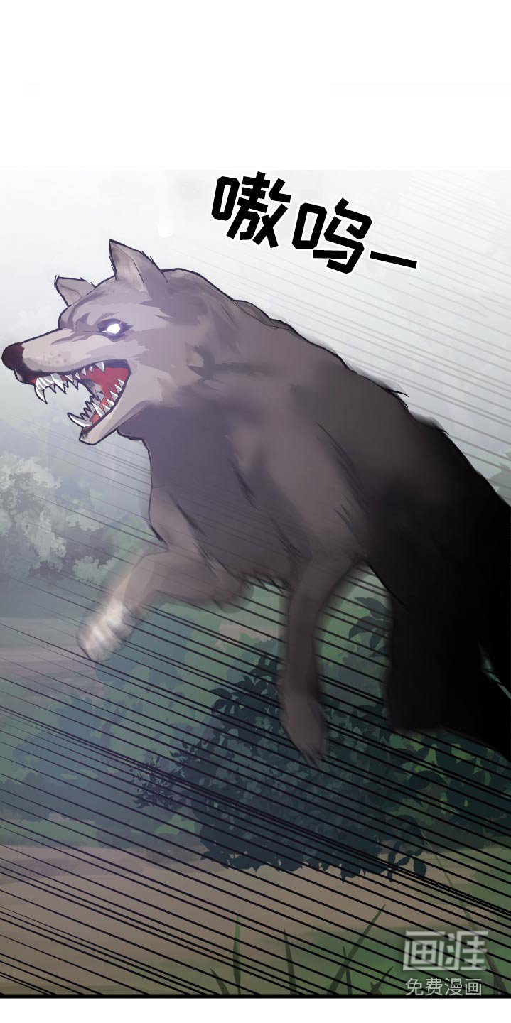 第35章：寻找