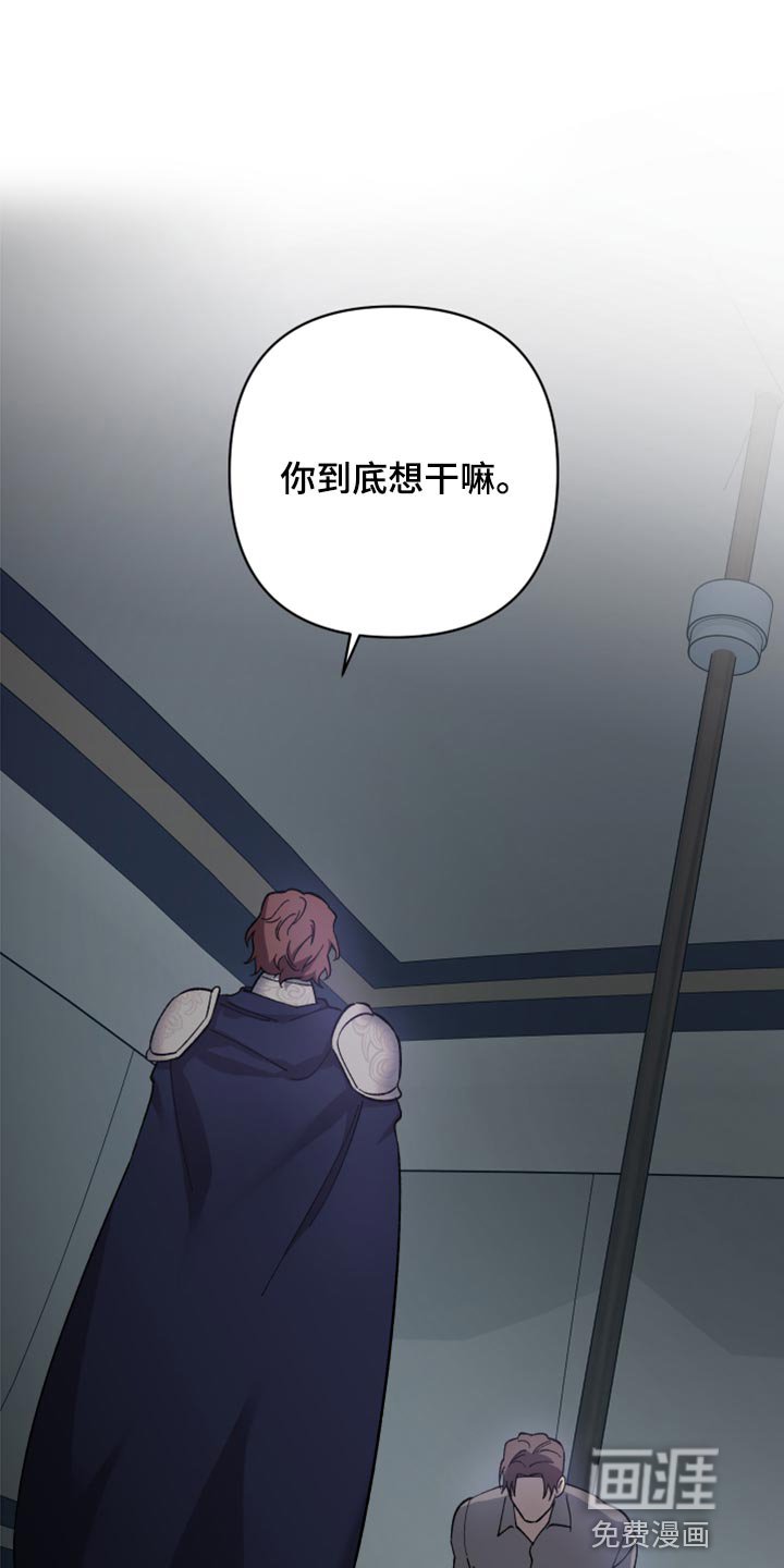 第38章：皇室的花纹