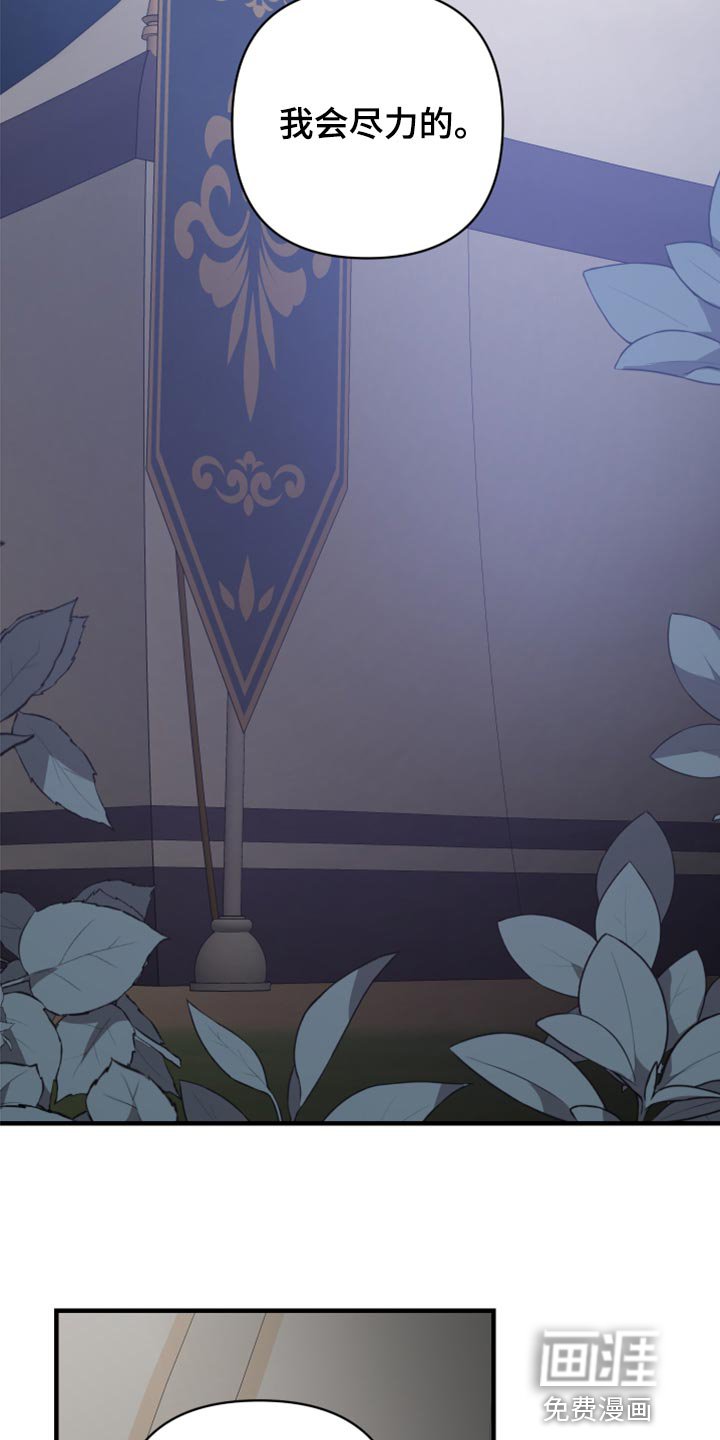 第38章：皇室的花纹