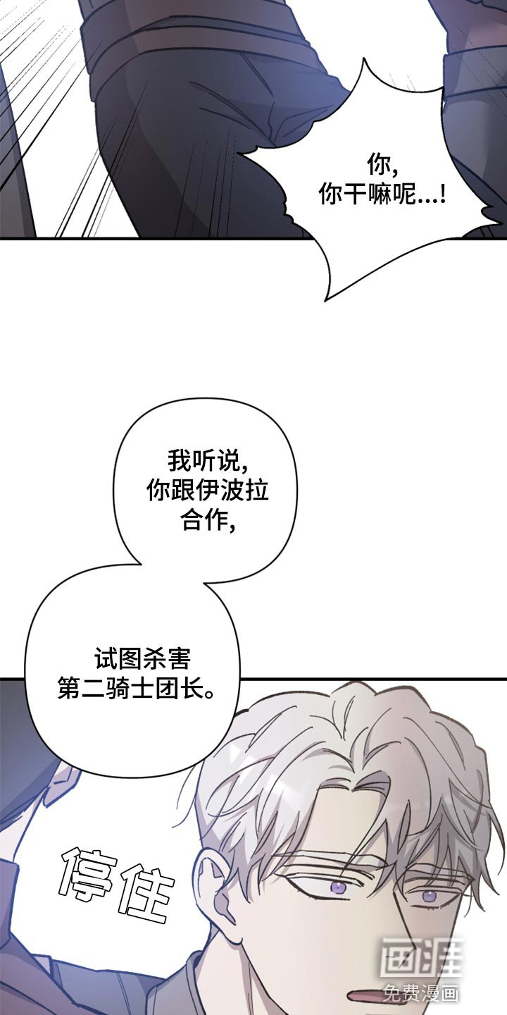 第38章：皇室的花纹