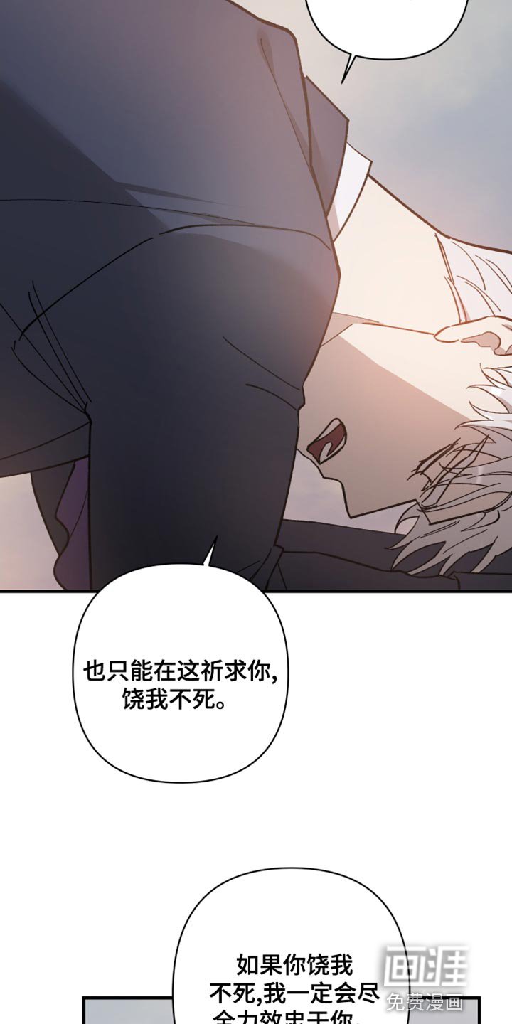 第48章：饶命啊