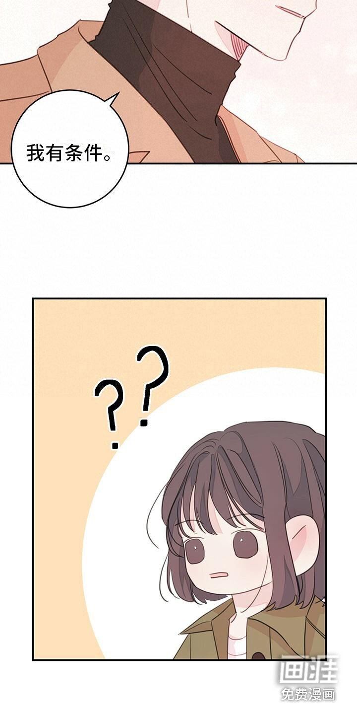 第16章：条件