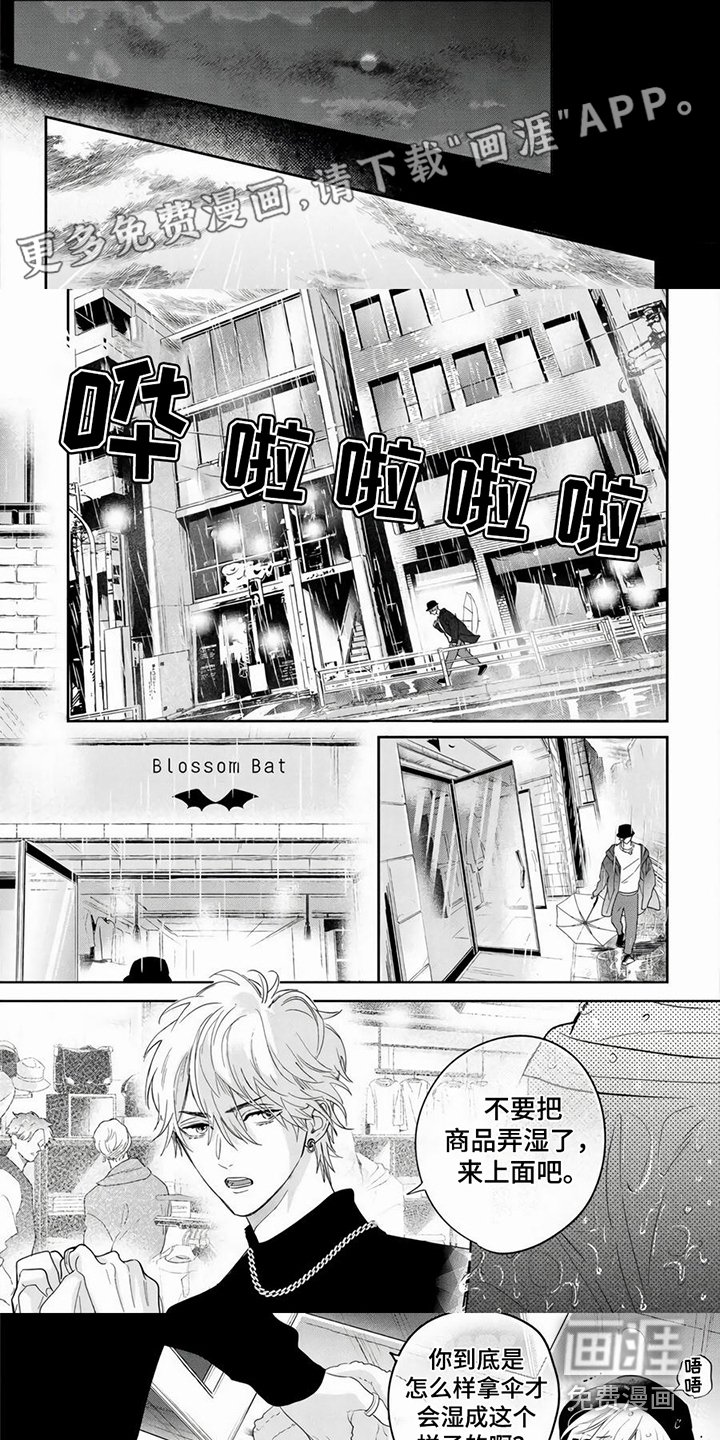 第7章：建议
