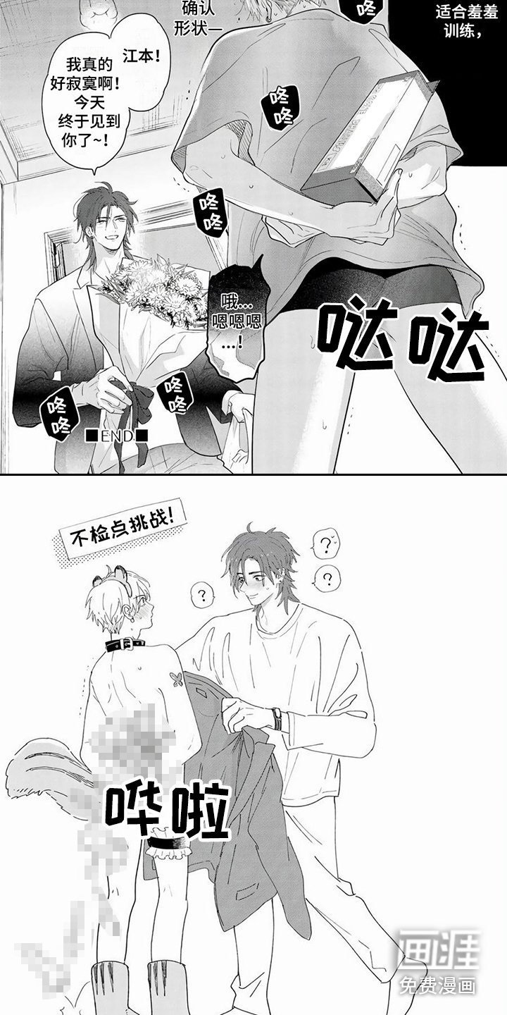 第7章：建议