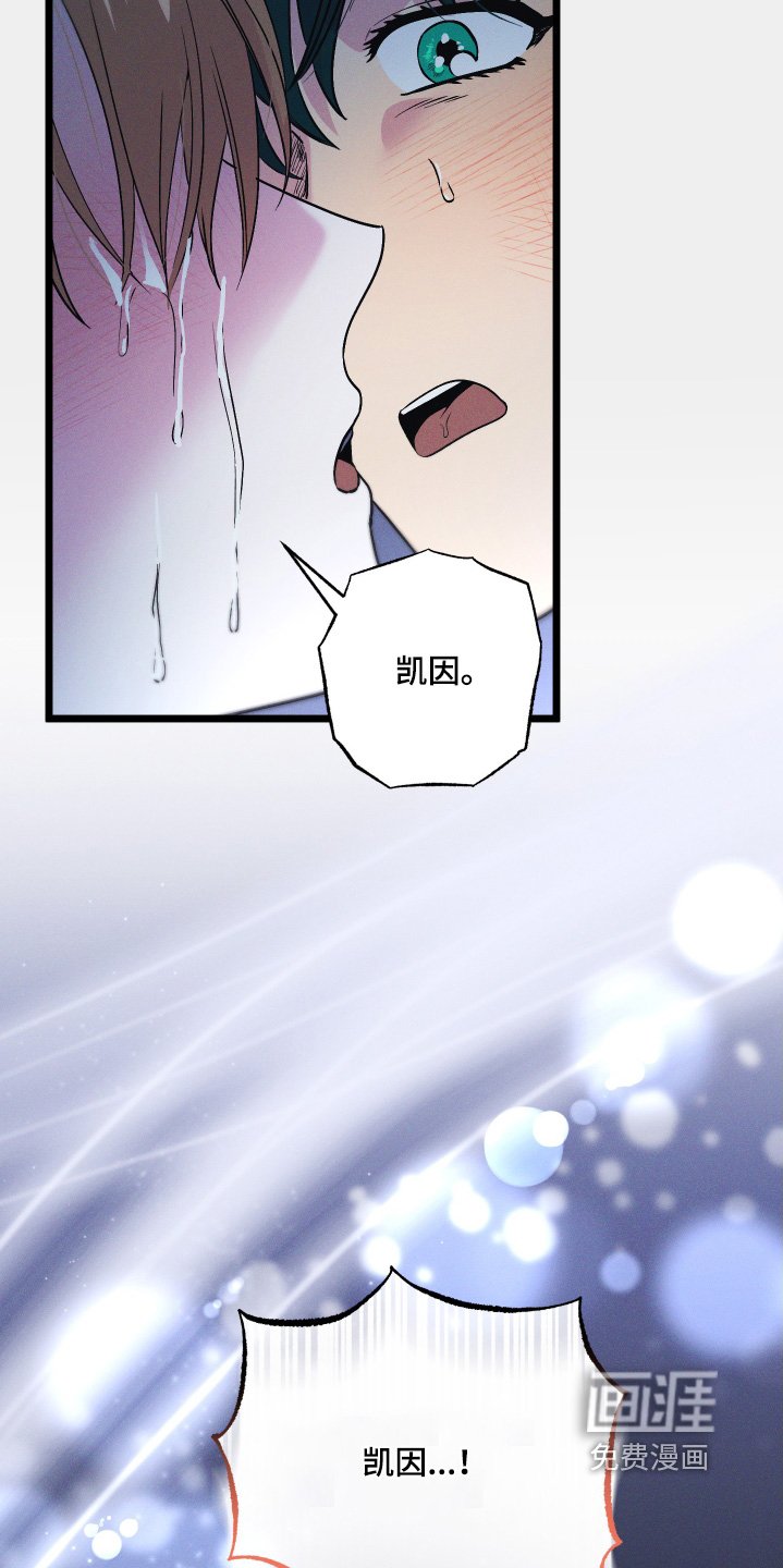 第120章：【第二季】坠落