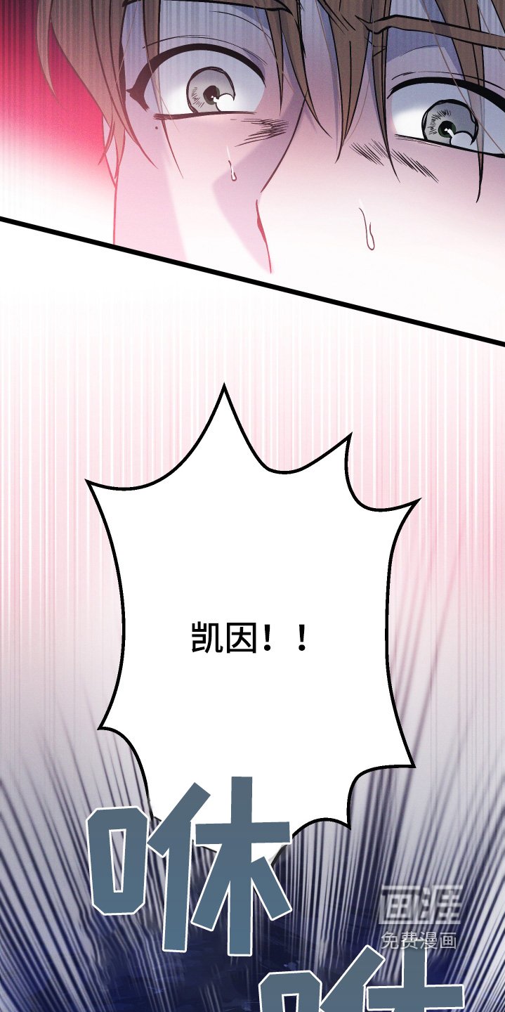 第120章：【第二季】坠落